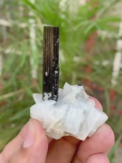 Natural Black Tourmaline Crystal with Green Cap on Cleavelandite albite from Pakistan -26 Gram
