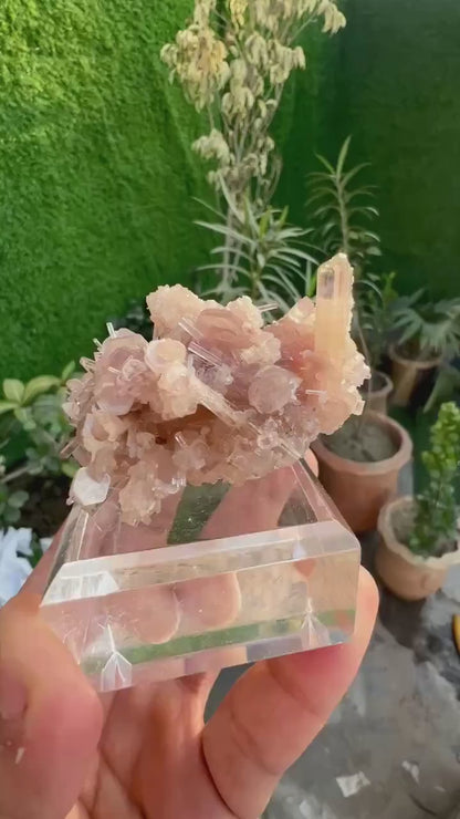 Orange Pink Tourmaline Cluster on Lepidolite from Afghanistan - 59 Gram
