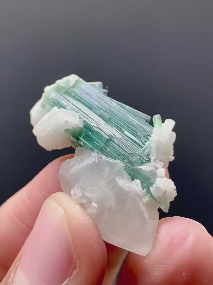 Indicolite Blue Tourmalines on Quartz from Afghanistan - 08 Grams