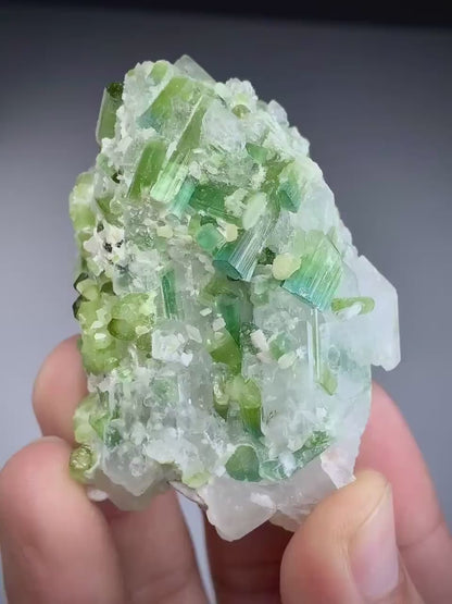 Blue Green Tourmaline  Crystals on Quartz from Afghanistan - 119 Gram