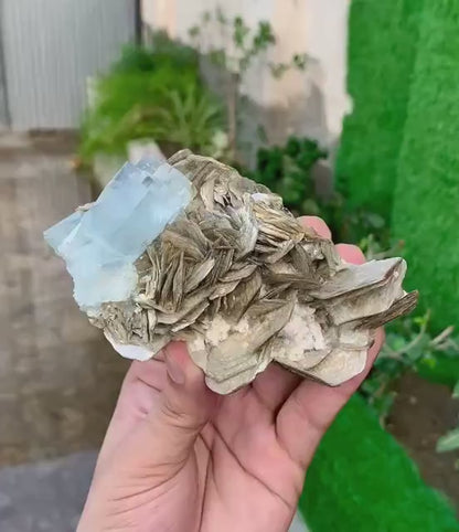 Sky Blue Aquamarine Crystal on Mica from Pakistan - 340 Grams