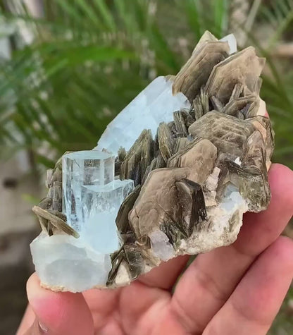 Gemmy Blue Aquamarine Crystals with Star Mica from Pakistan - 110 Gram