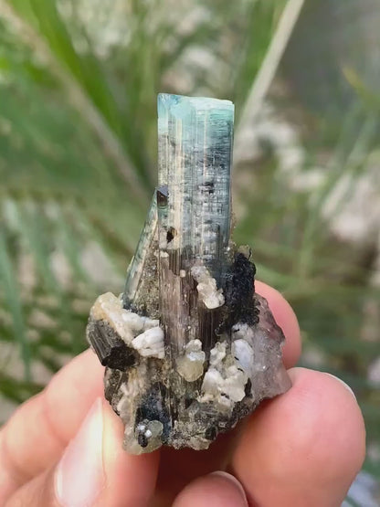 Bicolor Tourmaline Crystalls with Quartz combined from Afghanistan - 14 Gram