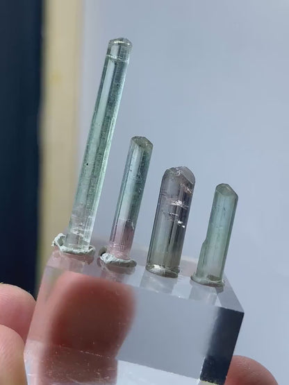 Bicolor Tourmaline Crystals from Afghanistan - 15.00 Carats