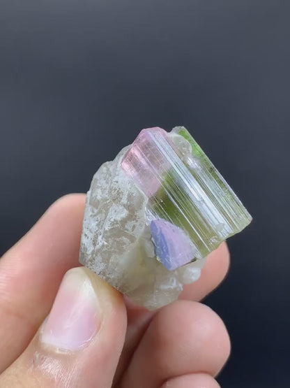 Bicolor Tourmaline Crystal on Quartz from Afghanistan - 23 Gram