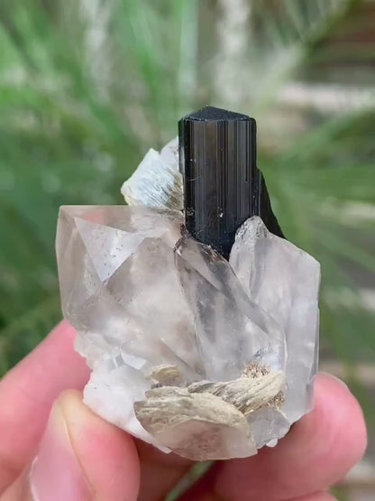 Schorl Black Tourmaline with Quartz combined Specimen from Pakistan - 39 Gram